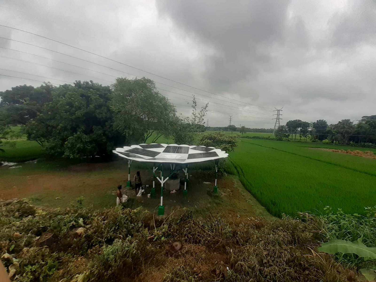 Solar Tree Installation